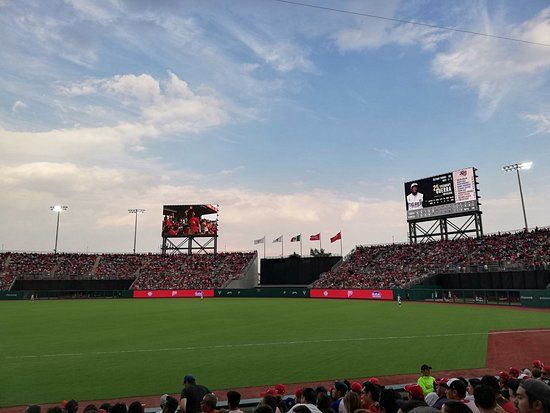 Estadio Alfredo Harp Helú